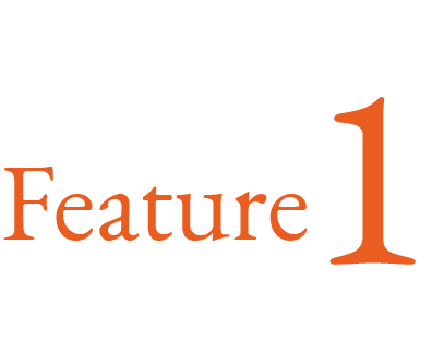 Feature 1