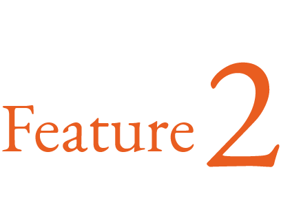Feature 2