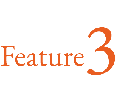 Feature 3